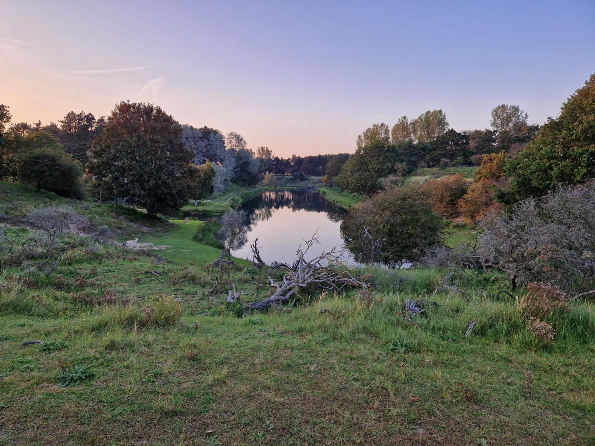 Duin-Vliet Bed & Breakfast Bentveld Екстериор снимка